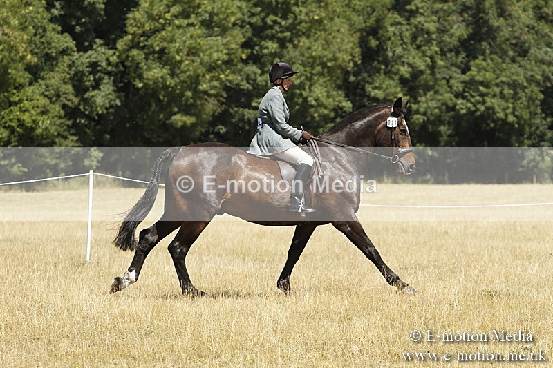 _BS_0842 - BVRC Show 2018 Ring 1