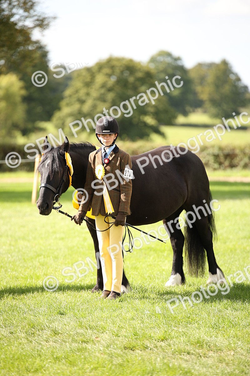 SBM_40917 - Fun Showing Supreme Championship