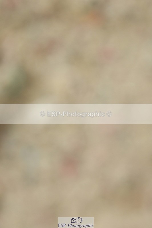 230701A-121616-05703 - Cls 7 Elementary 45