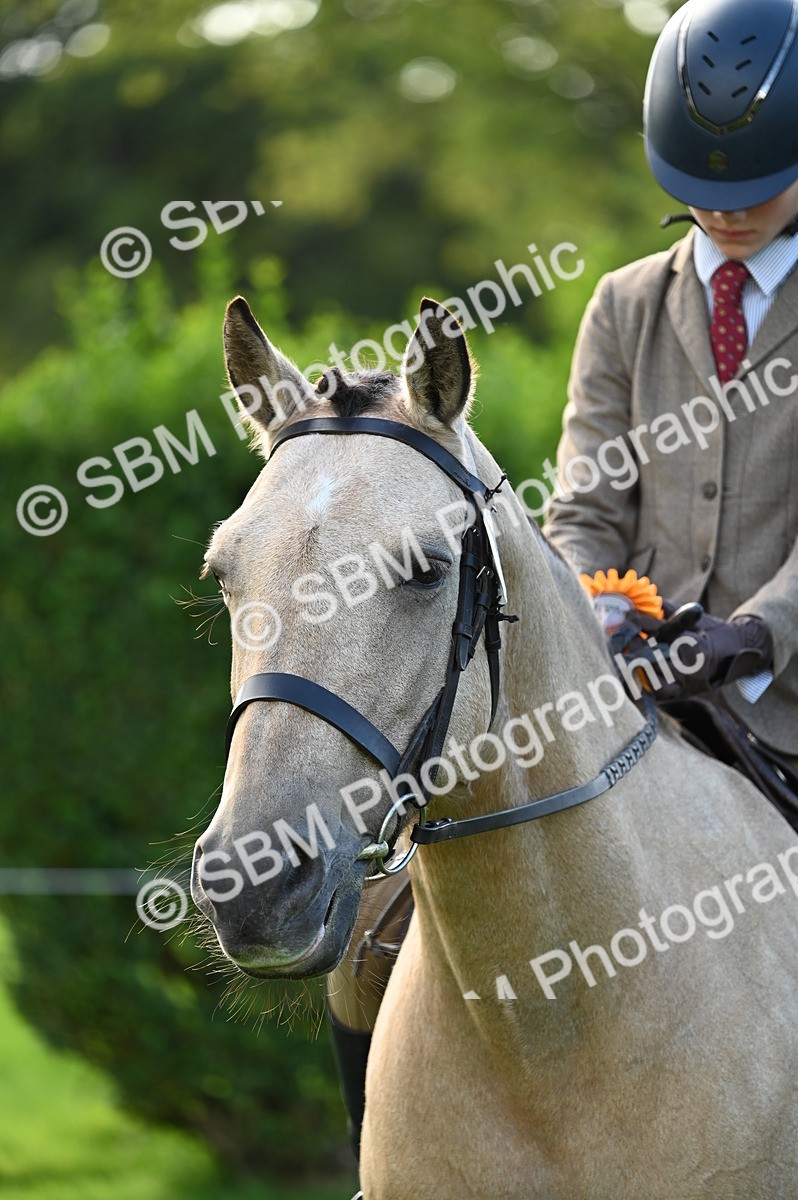 SBM_02094 - S2 - TSR Ridden Horse Showing