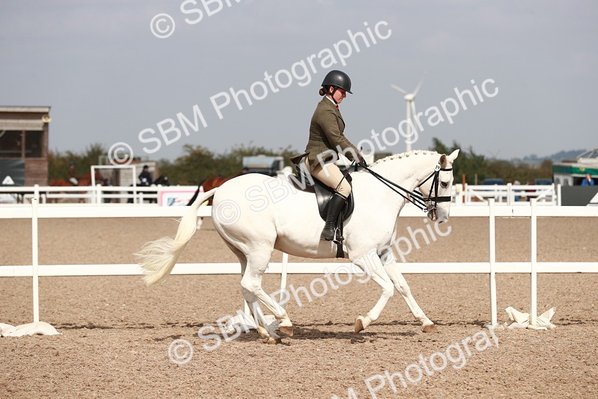 SBM_14832 - Class 212 Ridden Hunter - Small