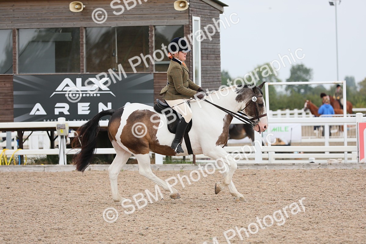 SBM_12726 - Class 307 Ridden Coloured Pony