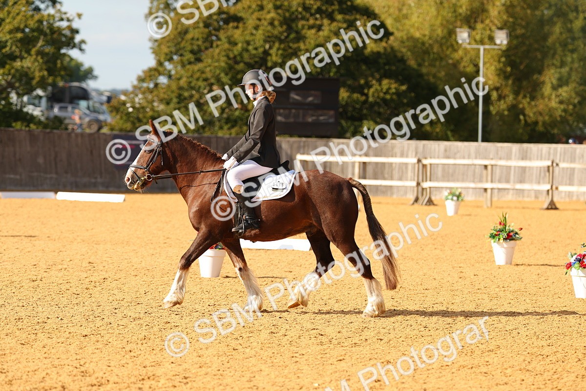SBM_49635 - D22 - Junior Championship - Intro B