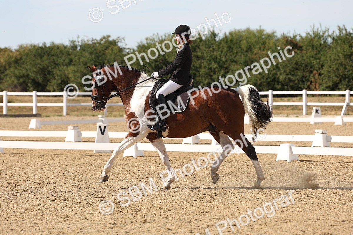 SBM_003865 - Elementary 4