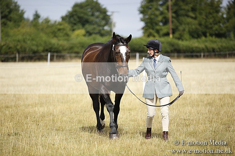 _C7A9326 - BVRC Sow 2018 Ring 2