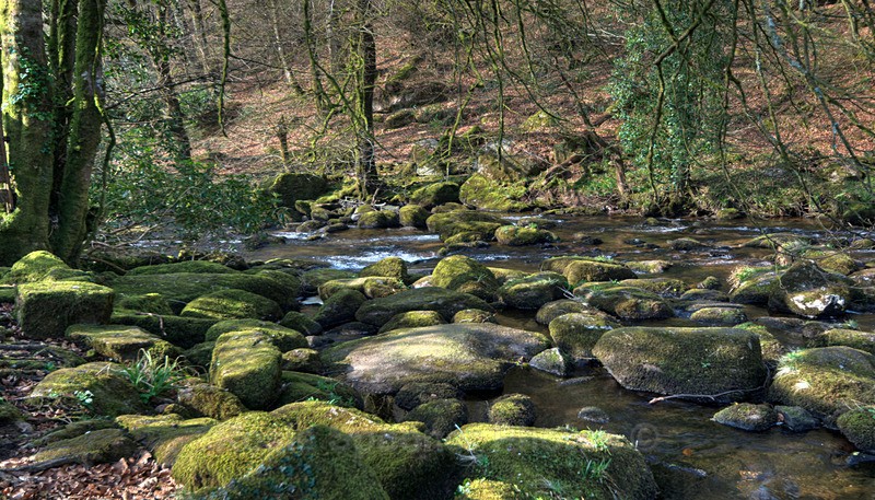 Dartmoor near Two Bridges