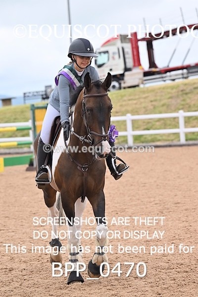BPP_0470 - CLASS 27 SUN 6 Year Old Non Qualifier