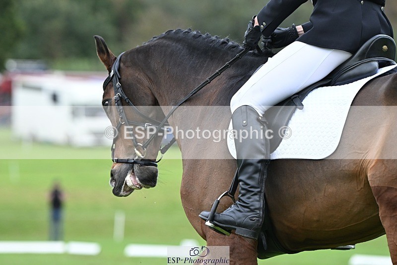 231020-153945-11234 - 507-EDGEDALE.BLUE.LADY-Katie.Lavin-DR