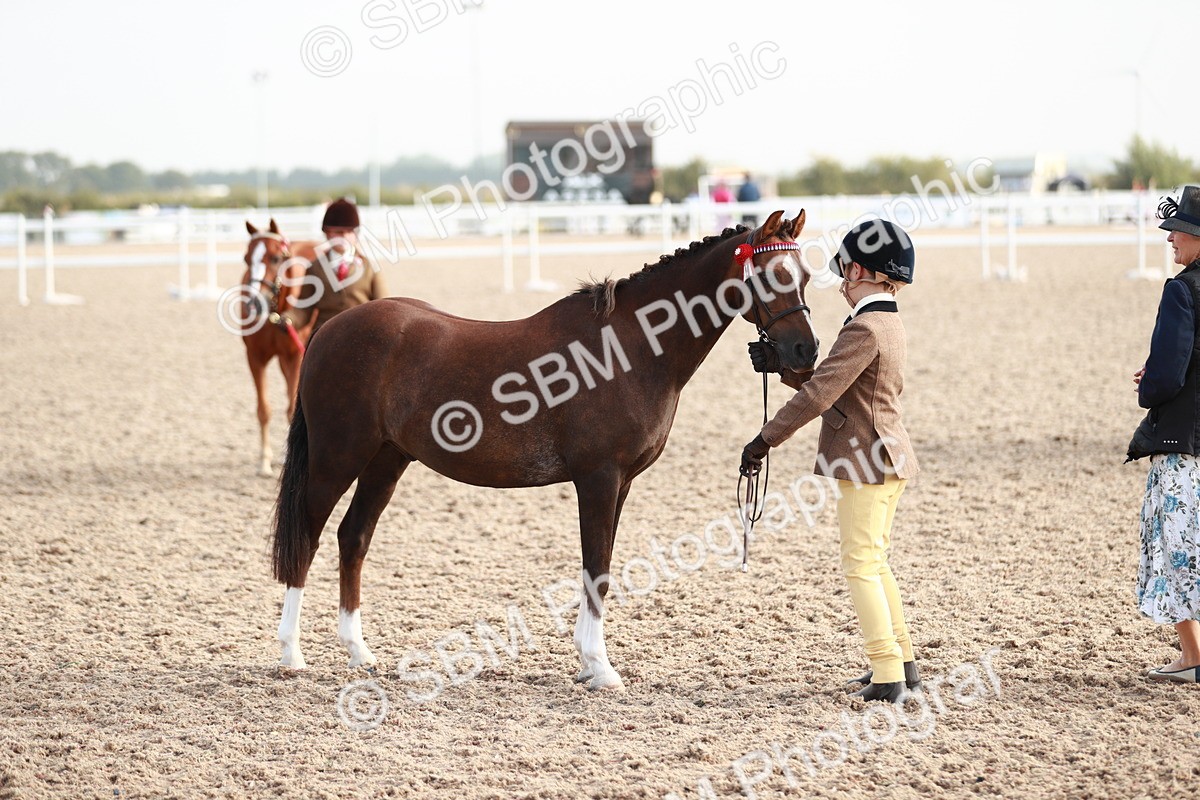 SBM_09898 - Class 203 Young Handler, 10 years and under
