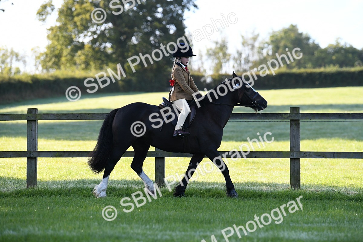SBM_33935 - S16 - Condition & Turnout - Ridden