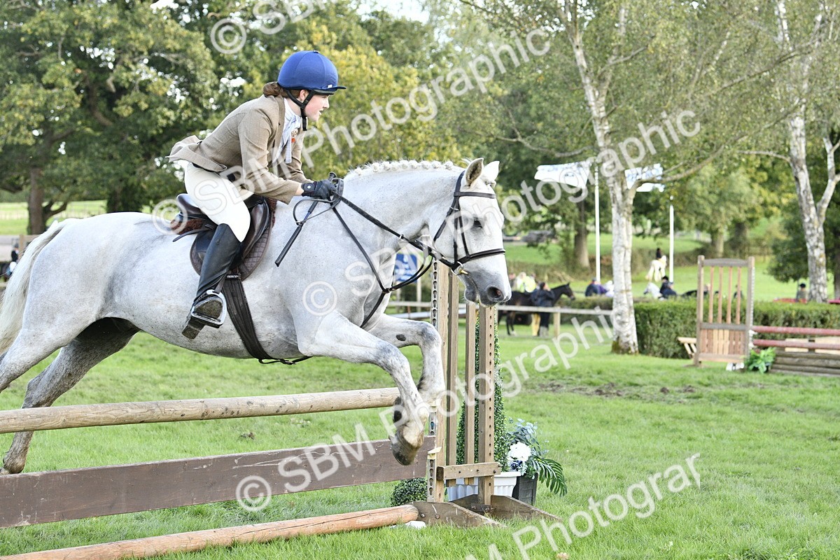 SBM_52150 - S35 - Working Hunter & Working Show Horse