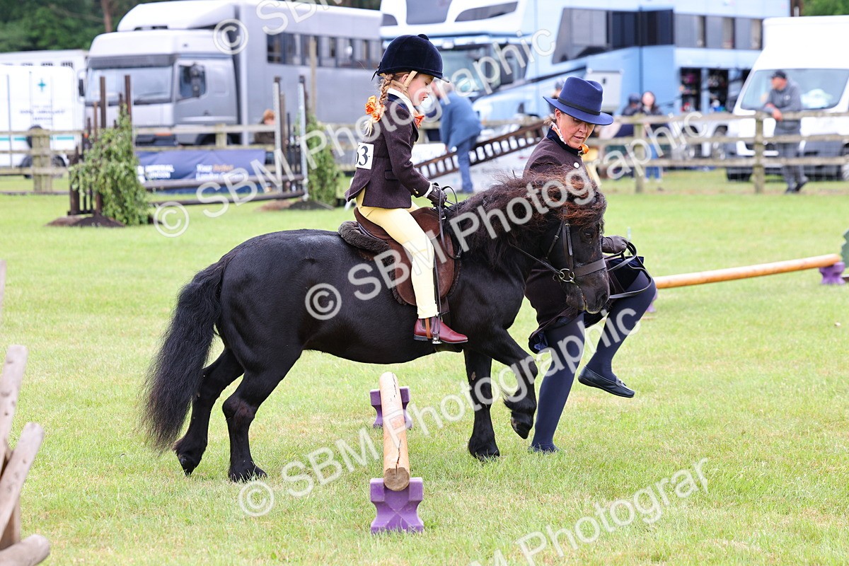 SBM_08165 - Class 42-43 - LIHS BSPS Heritage Working Sports Pony