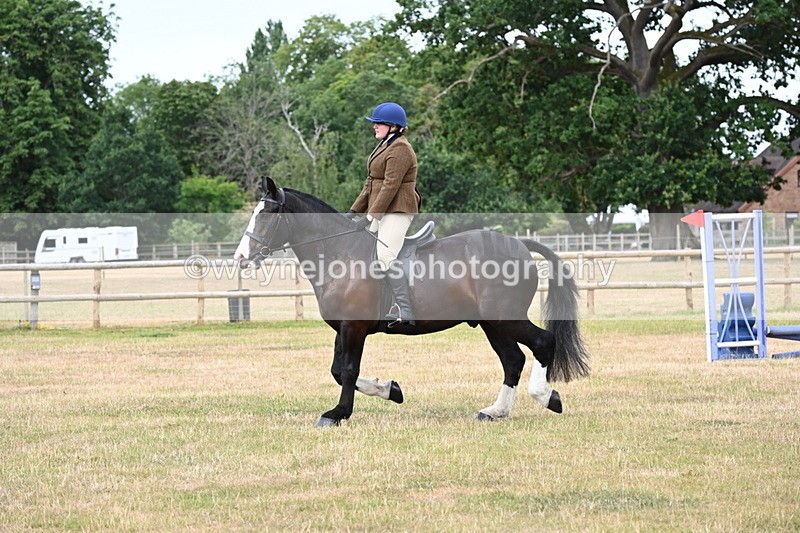 WJ6_3872 - Class 9 Tack & Turnout