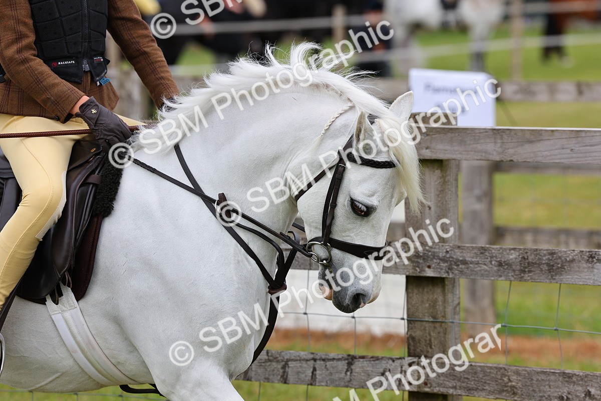SBM_08469 - Class 42-43 - LIHS BSPS Heritage Working Sports Pony