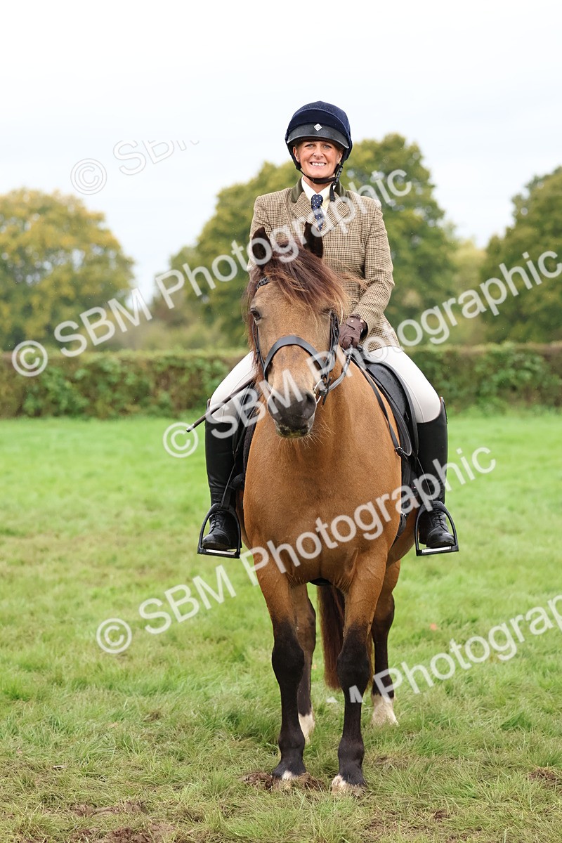 SBM_69643 - S62 - Mountain & Moorland Ridden Large Breeds