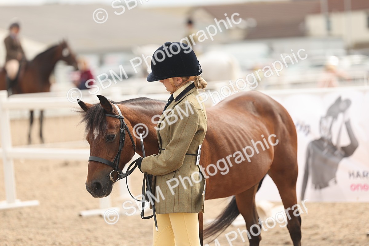 SBM_16998 - Class 312 - IH Competition Horse-Pony