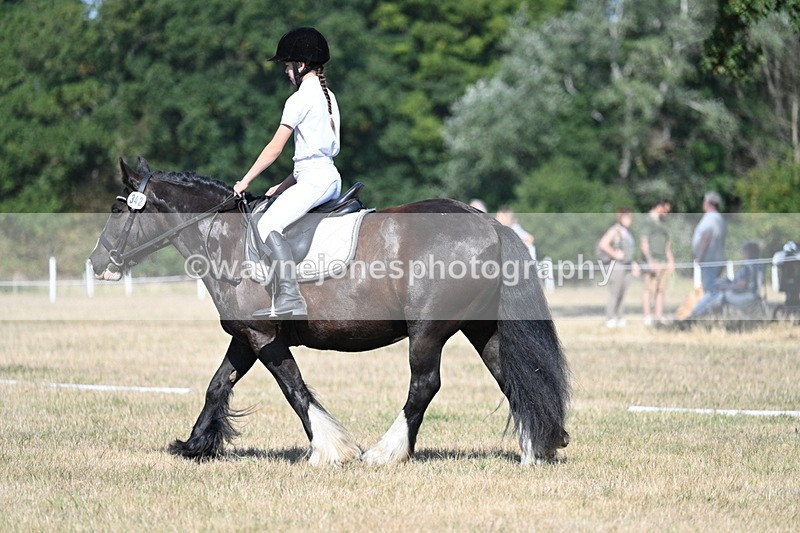 WJ7_9599 - Time 10:32 to 10:55