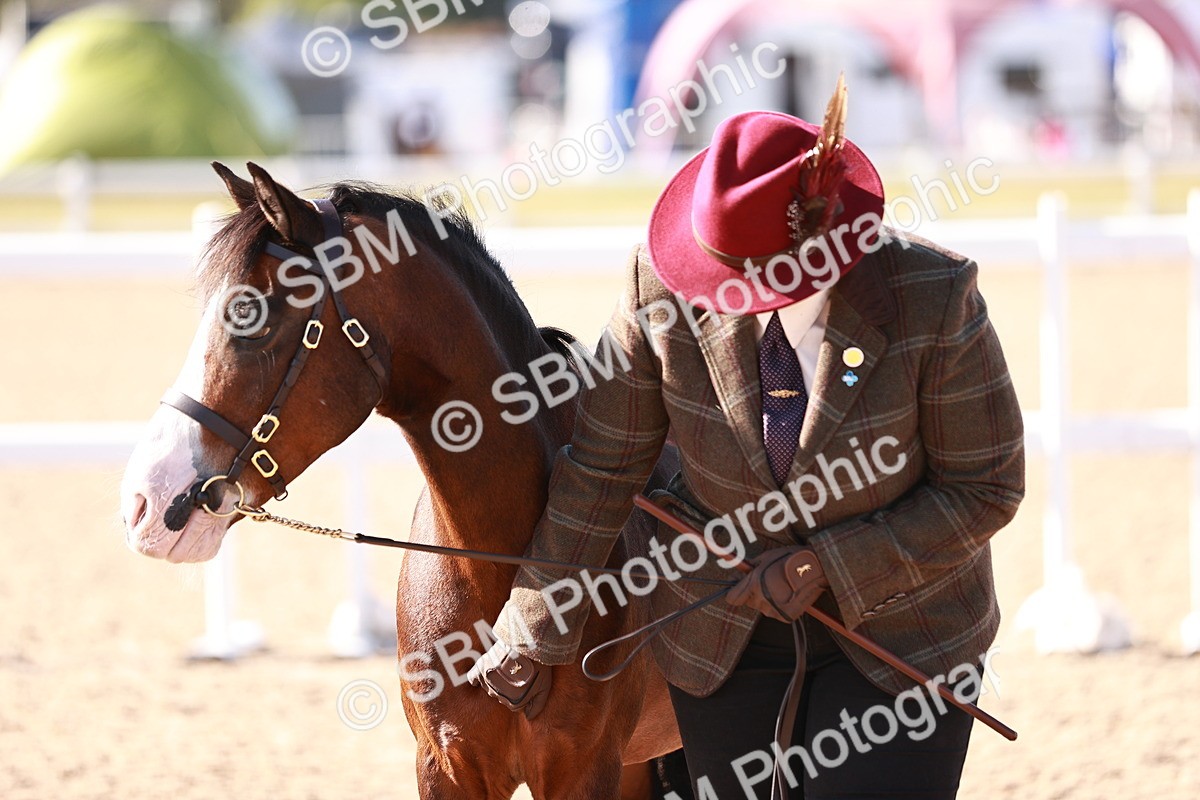 SBM_22726 - Class 704 - IH  Rescue