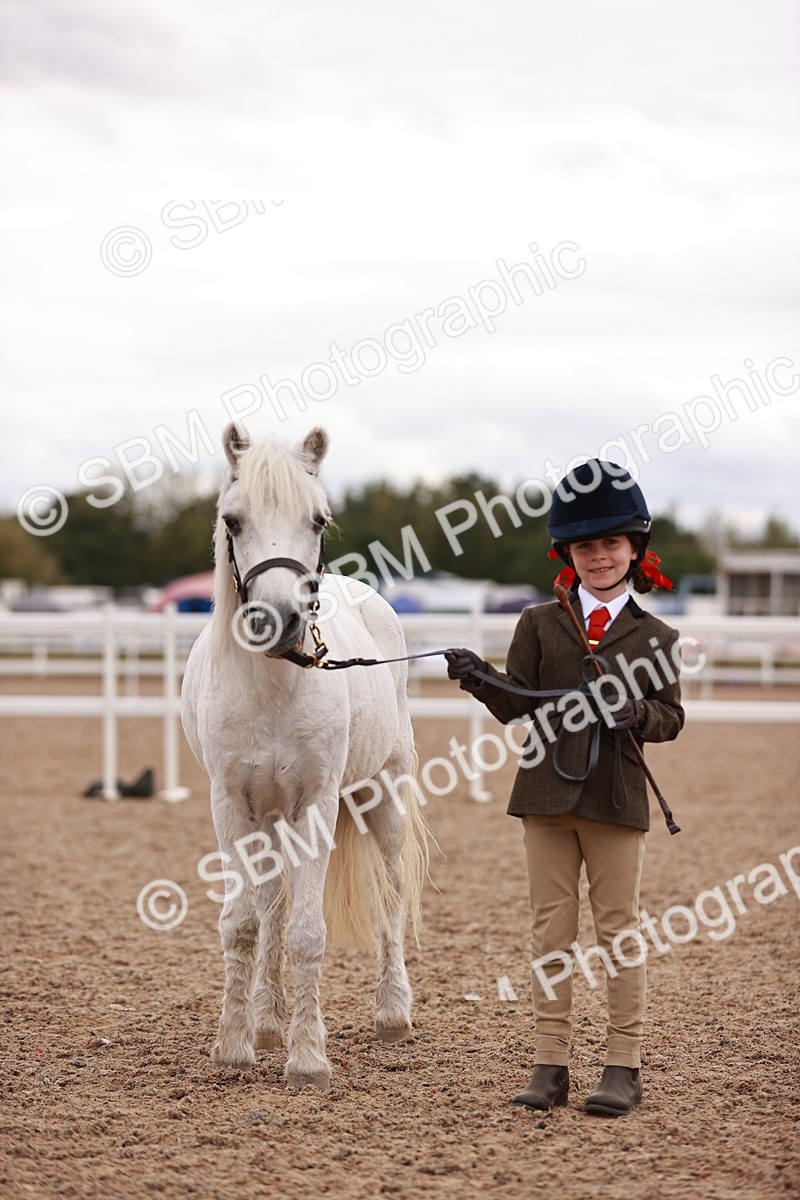 SBM_18569 - Class 421 - Childs Best Friend - Jnr