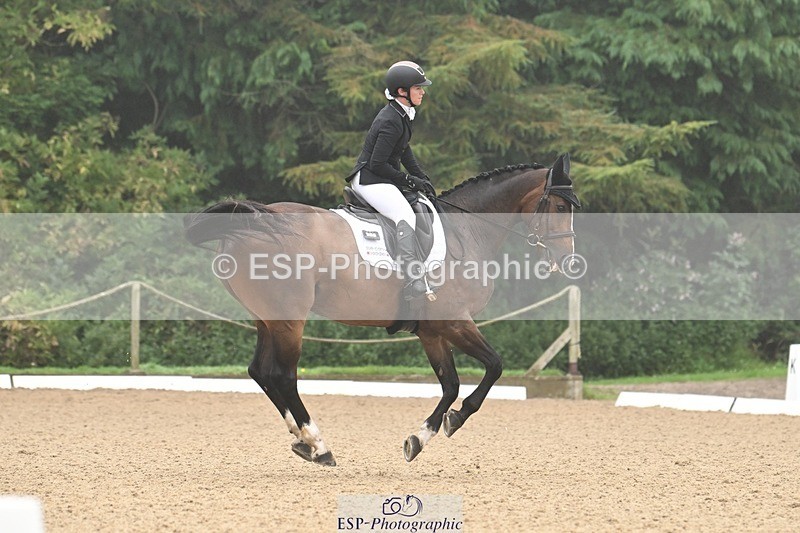 240811-094037-04831 - 119-Alice.Kneen-Dazzling.Springtime