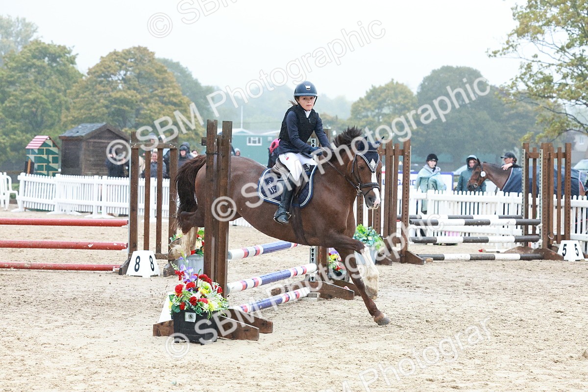 SBM_73437 - Supreme Championship Junior Pony 60cm & 65cm