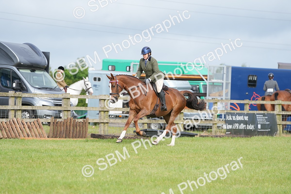 SBM_10589 - Class 97-98 - LIHS BSHA Rising Star Working Show Horse Hunter