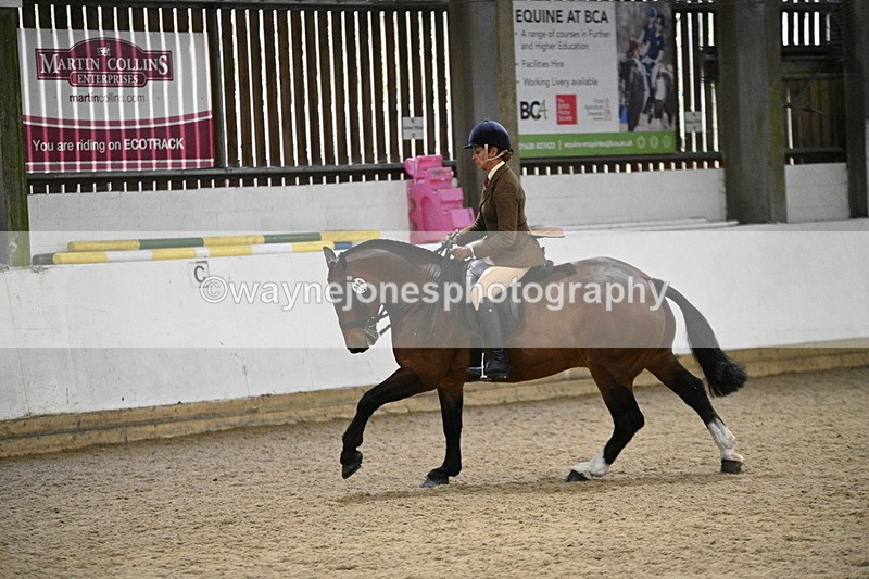 WJ7_4033 - Class 17 Ridden Cob