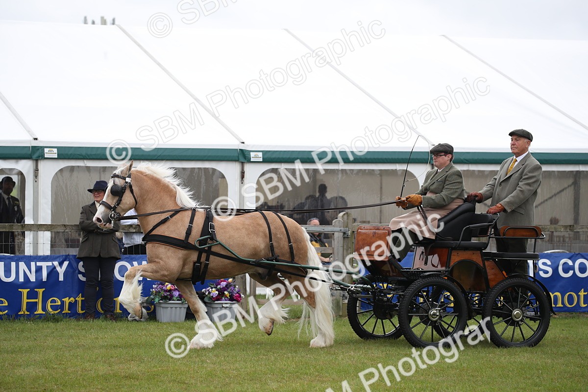 SBM_05654 - Class 12-15 - HOYS Private Driving