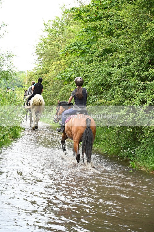 WJ7_1920 - Camera 2 Water Crossing