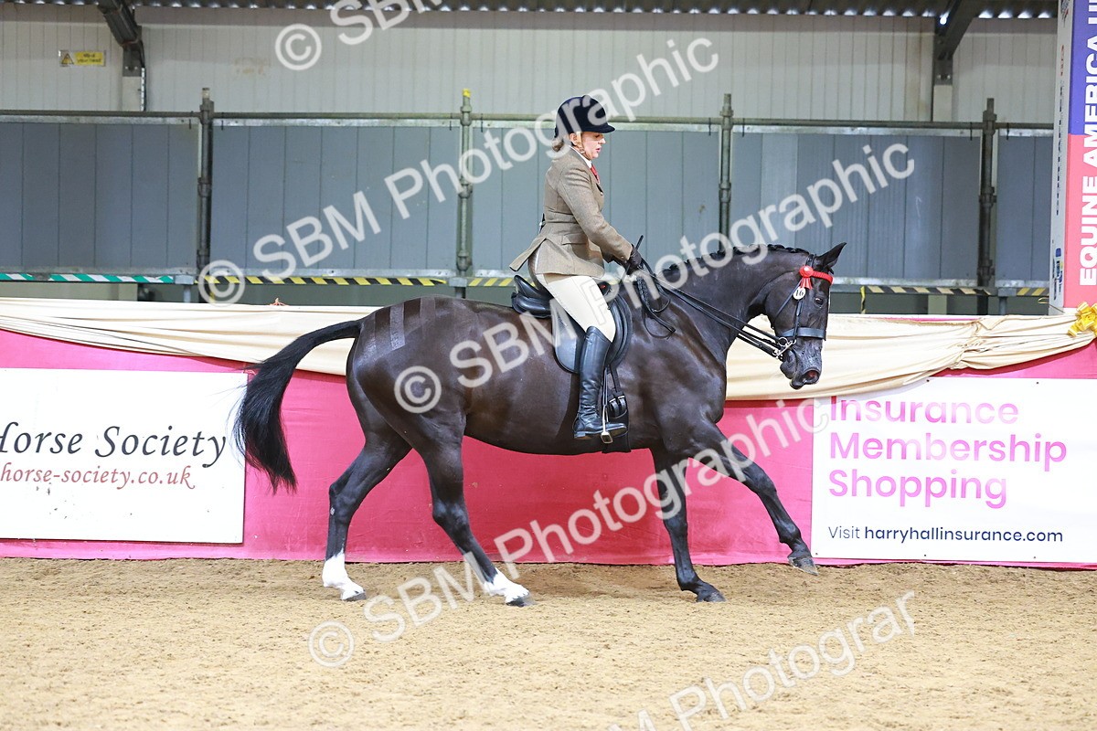 SBM_06211 - Class 12R - Ridden Pre-Vet