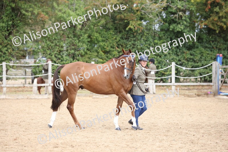 20260831-1879 - Class 5 - Retraining of Racehorses