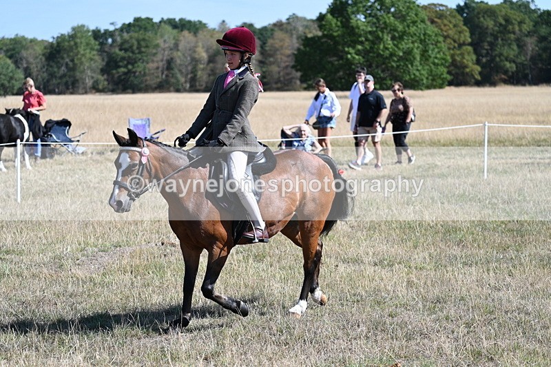 WJ7_4072 - Class 9 Mountain & Moorland Ridden