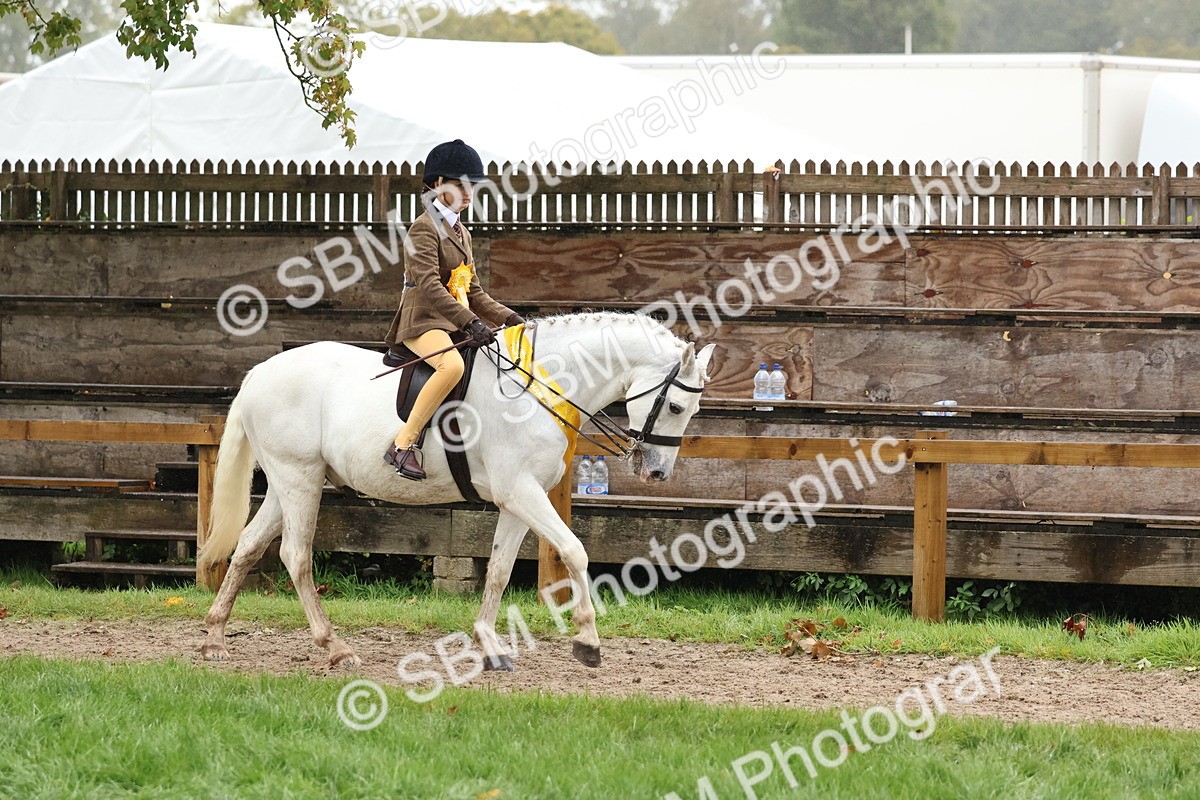 SBM_73097 - Ridden Pony Supreme Championship