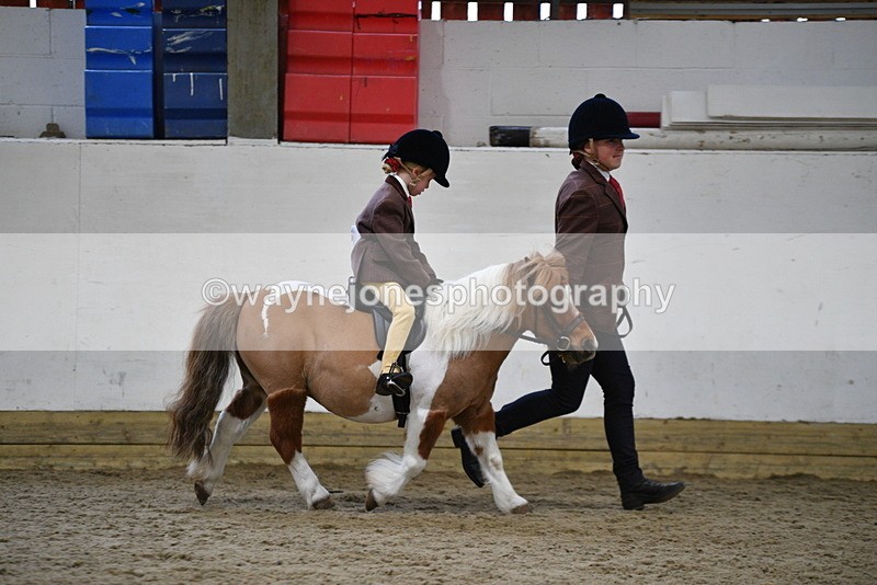 WJ5_6771 - Class 10 Childs Pony