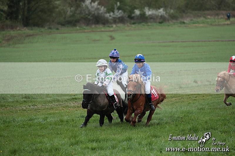 SHETPR 210425 171 - Shetland Ponies Paxford Races 21/04/25