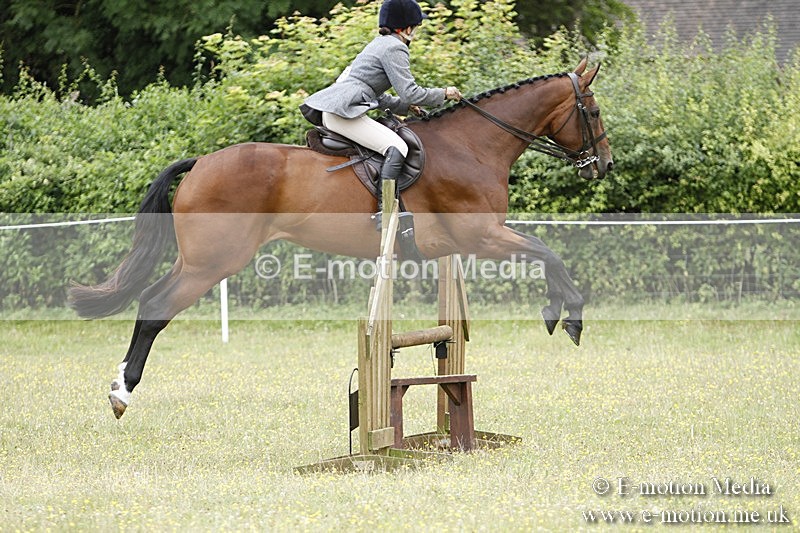 BVR160717-1700 - Ring 3 BVRC Show 16/07/17