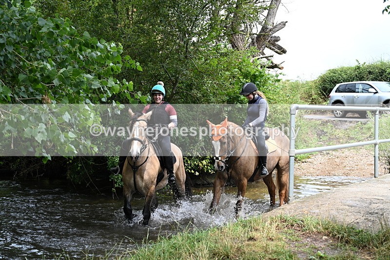WJ7_9814 - Group 7