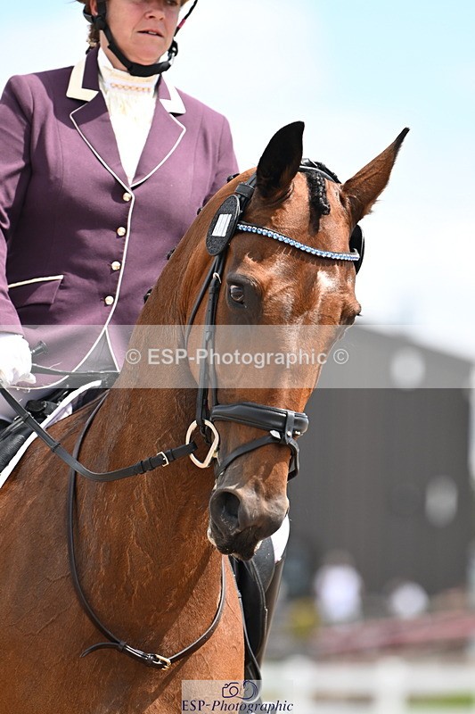 240621A-114551-02403 - Cls 5 BD Novice 37A