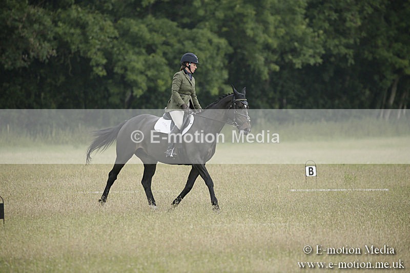 B230619-0145 - Bourne Valley Riding Club Summer Show 23/06/19