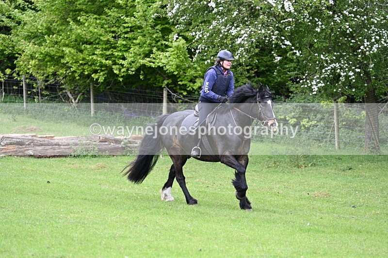 WJ7_2165 - Group 3 A&B Cameras