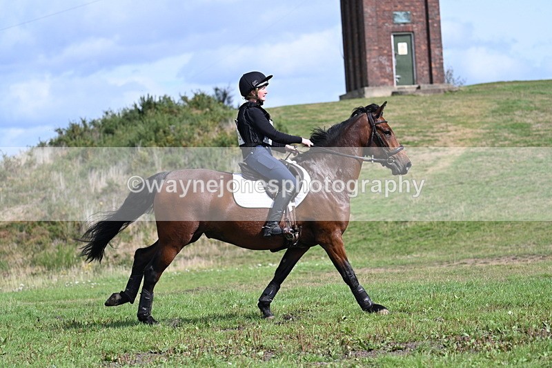 WJ7_1910 - Time 13:17 to 13:53