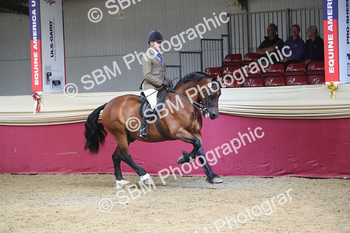 SBM_16330 - Class 502 M&M Ridden Supreme Final