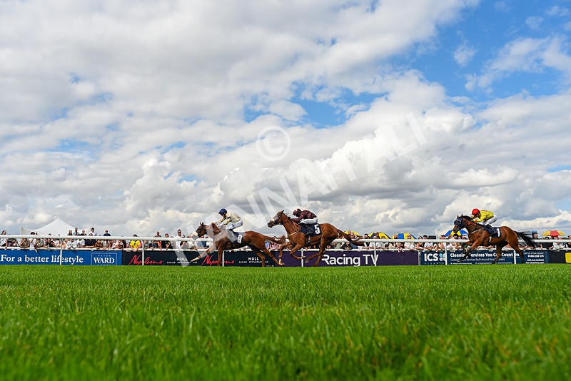 300826-Race 3-Pivotal Voyage-6883 - Race 3 2.50pm Churchill Tyres EBF Restricted Maiden Fillies' Stakes
