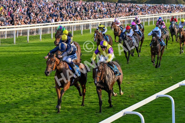 111025-Race 7-Lets Dream-0717 - Race 7 Coral 'Committed To Safer Gambling' Finale Handicap at York