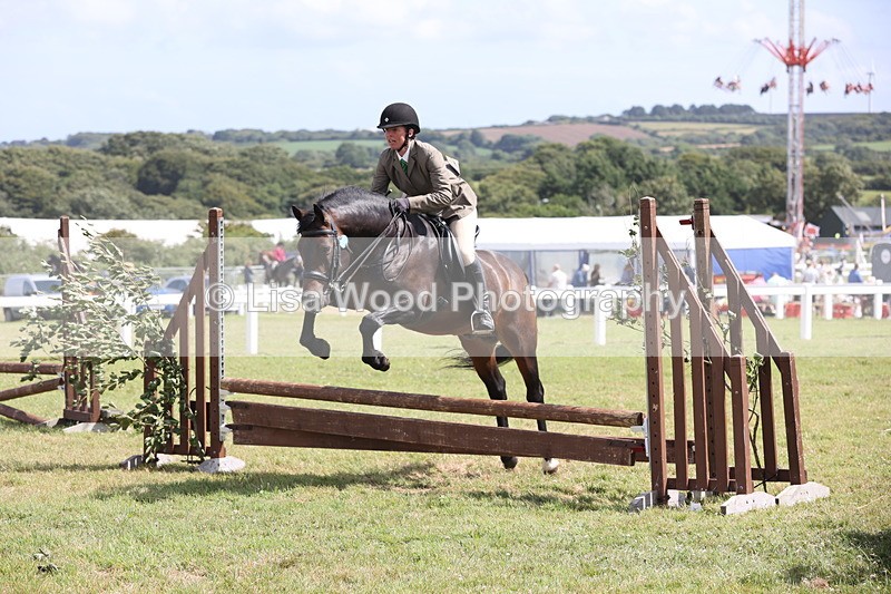 JPP_2183 - Class 19: Working Hunter 60cm