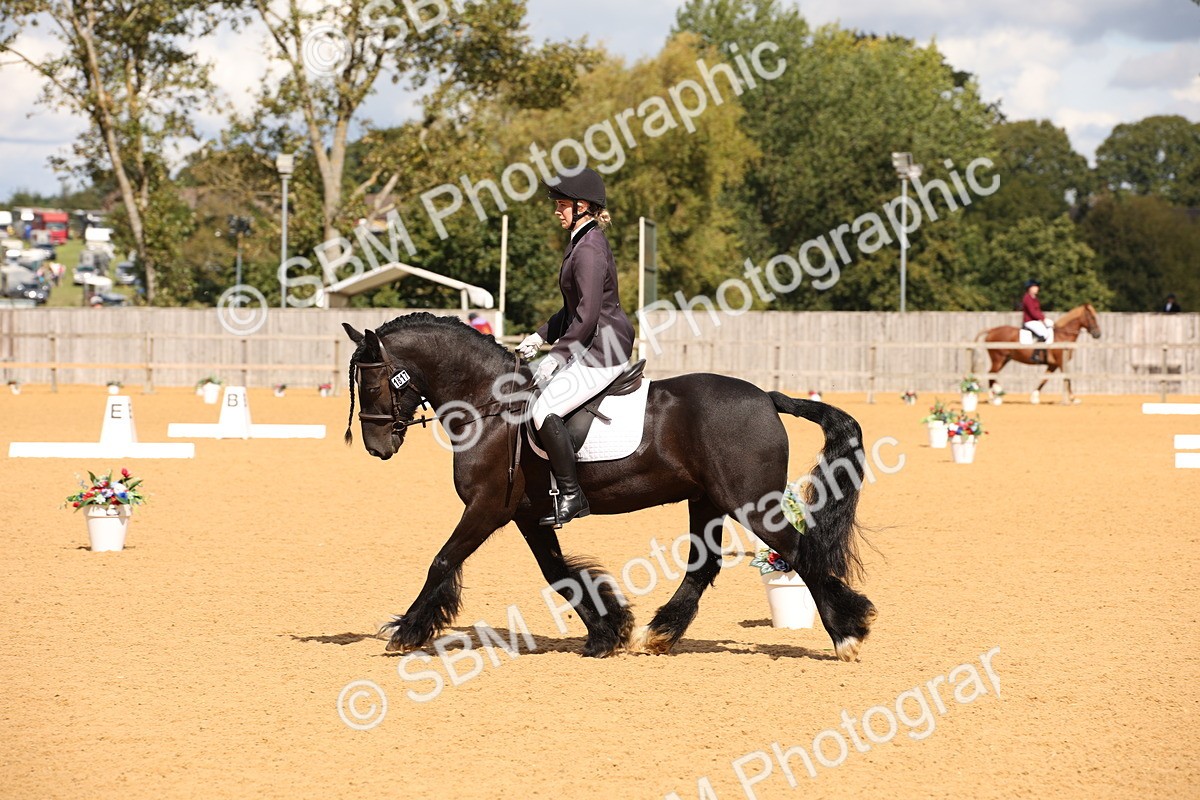 SBM_06728 - D8 Small Tour Championship Prelim 7