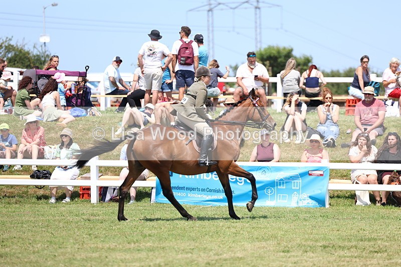 3E7A9323 - Class 12: Open Racehorse to Show Horse