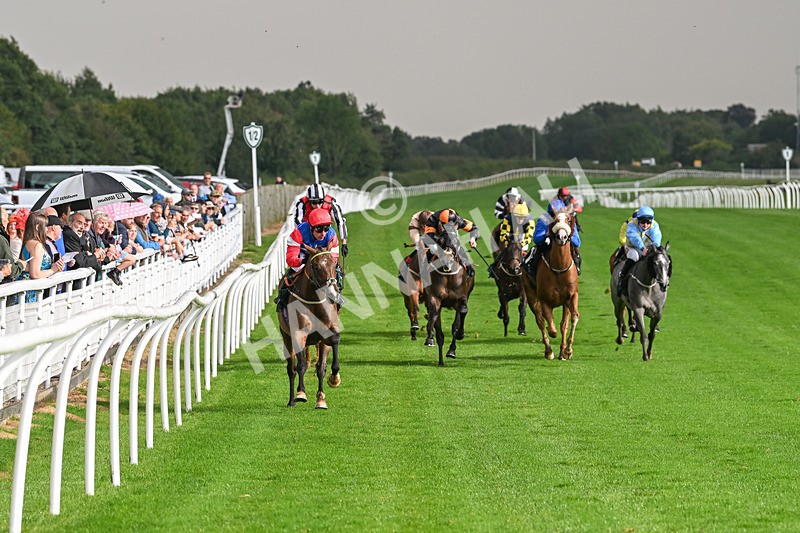 280824-Race 4-Desert Dream-4371 - Race 4