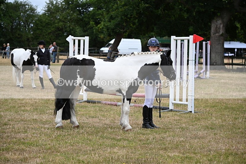 WJ6_4383 - Class 10 Coloured In-hand