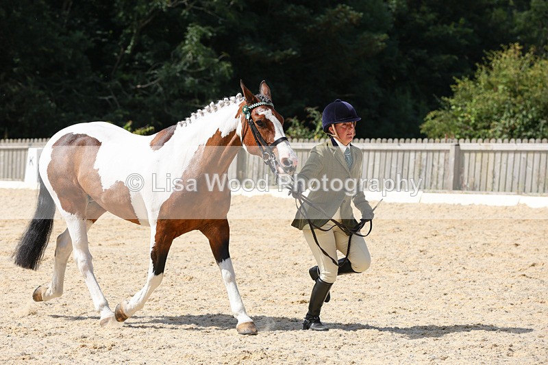 1X9A8297 - Class 12: Coloured Ridden